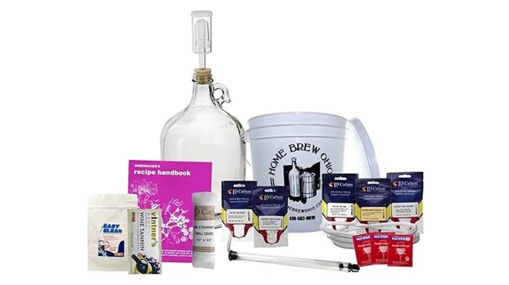 1 gallon fruit wine kit