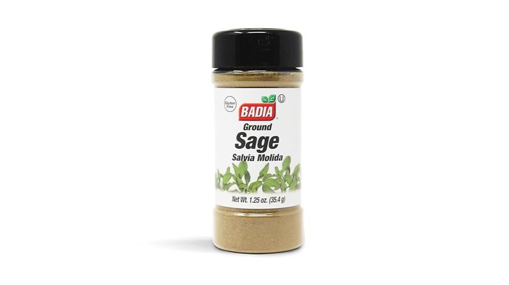 aromatic ground sage herb