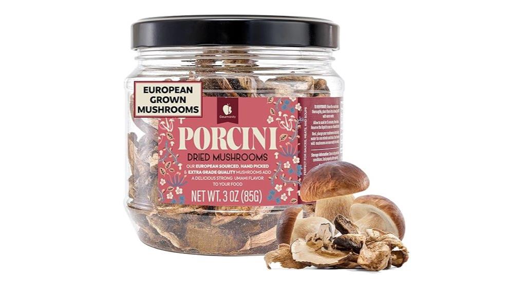 gourmet dried porcini mushrooms