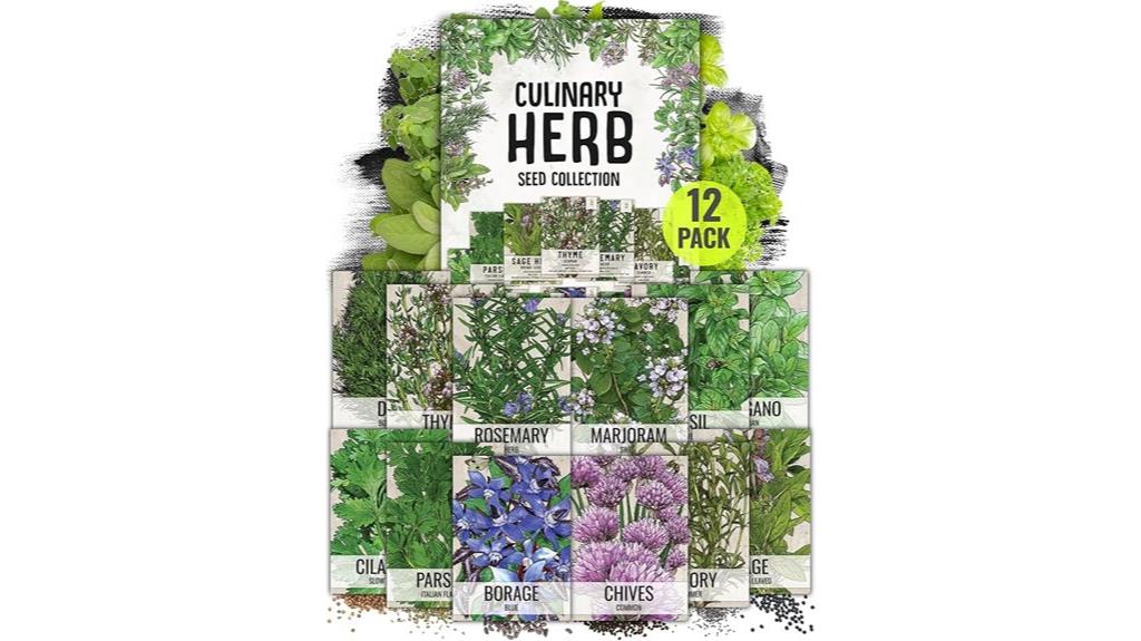 herb seed variety pack