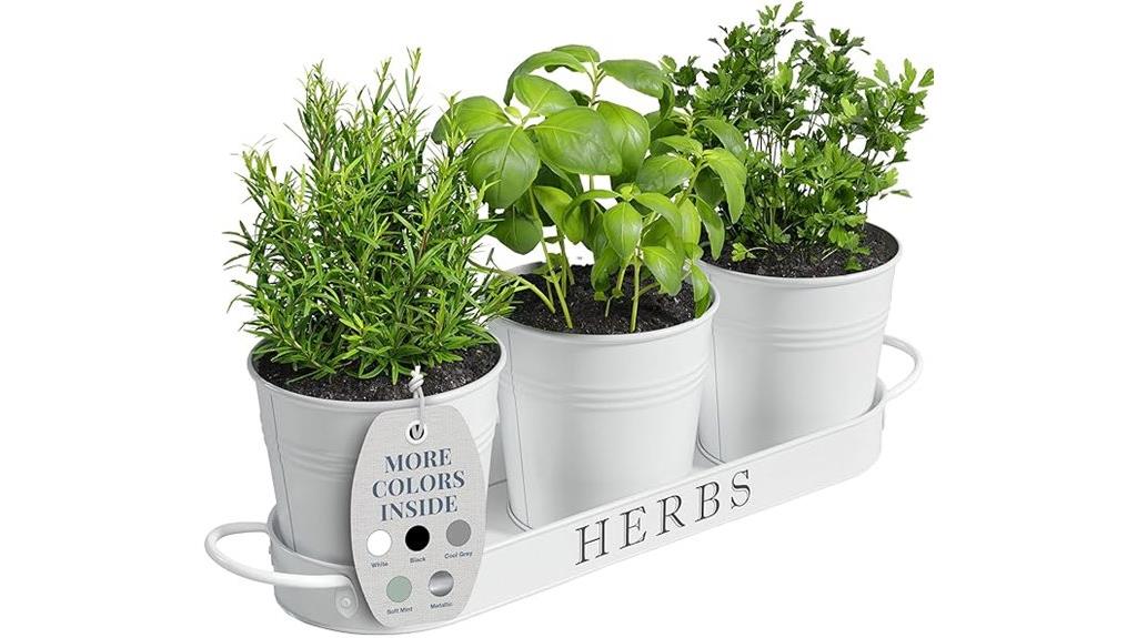 indoor herb garden set