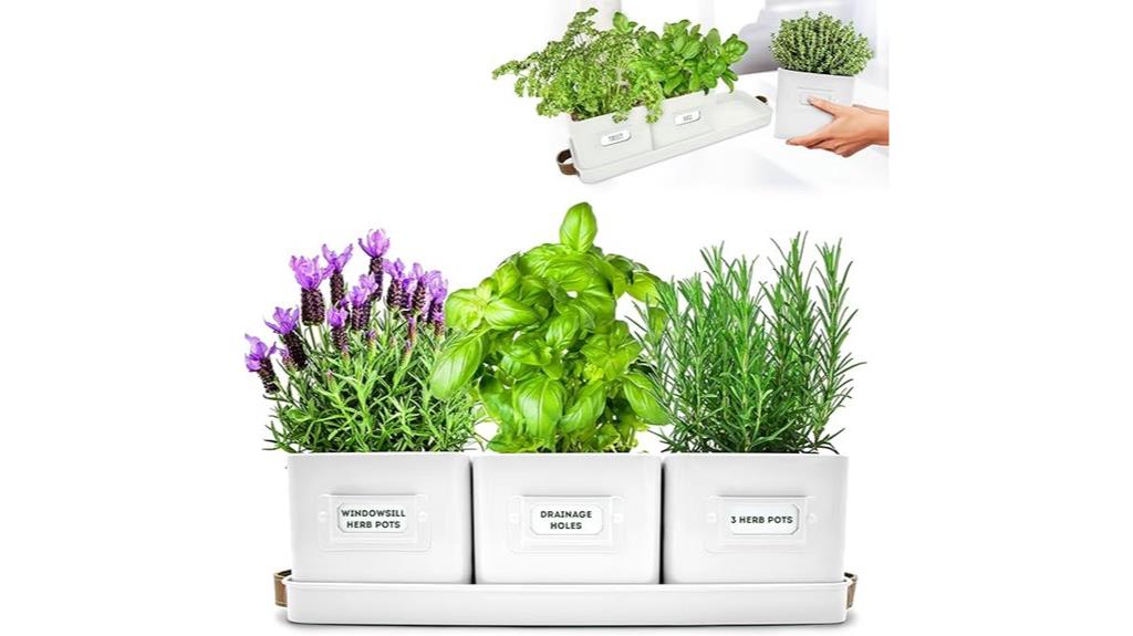 indoor herb garden set