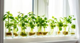 indoor hydroponic herb gardens