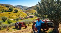 ittiri s farming traditions