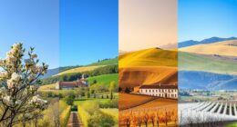 ittiri s seasonal visuals