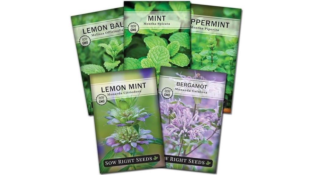 mint garden seed collection