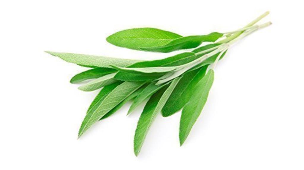 organic sage clamshell