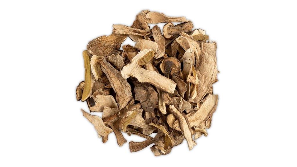 premium grade dried porcini