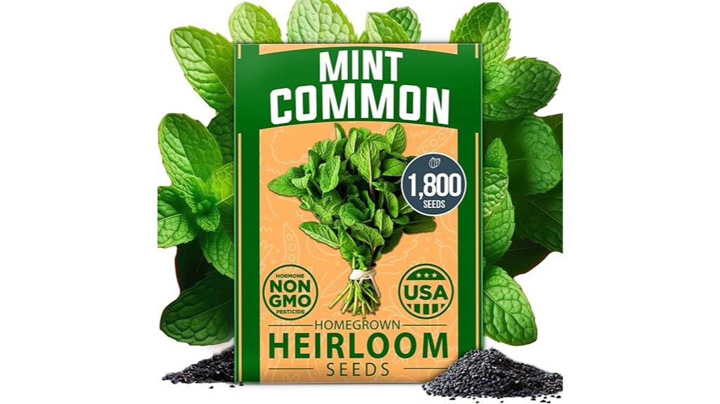 premium non gmo mint seeds