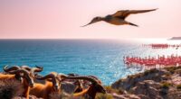sardinian birds and mammals
