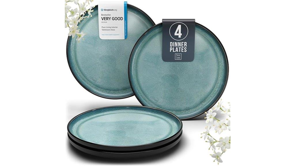 stoneware dinner plate set