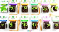 top herb seed kit selections