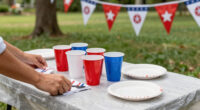 11 Best Patriotic Outdoor Party Supplies in 2026
