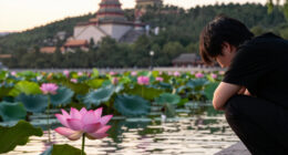 Scenery Of Lotus Flowers At Old Summer Palace In Beijing - 极目新闻