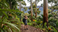 Nattai National Park, New South Wales, Australia Surges In Global Coverage